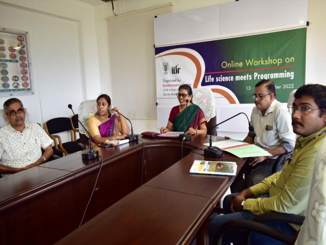 Online Workshop