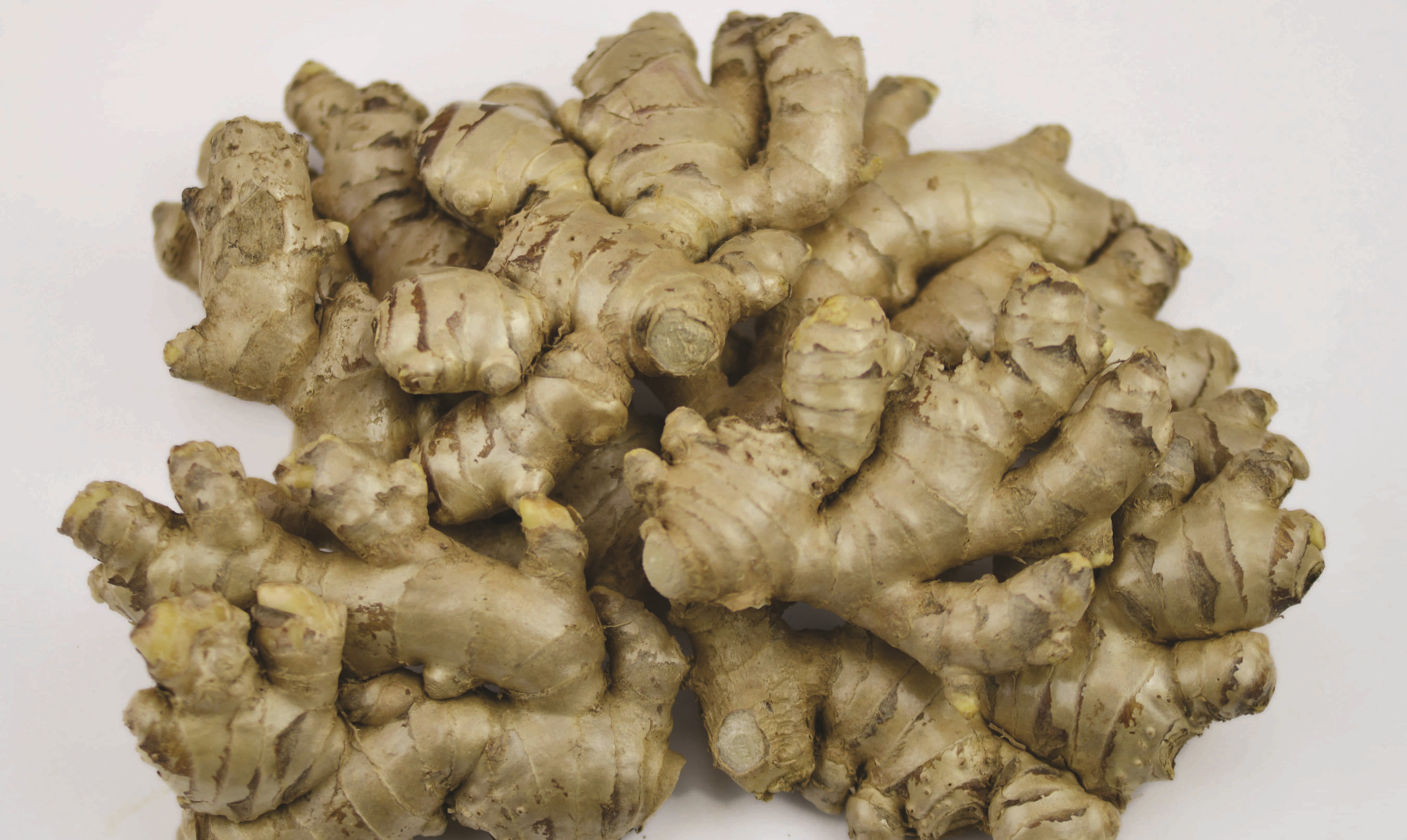 Ginger