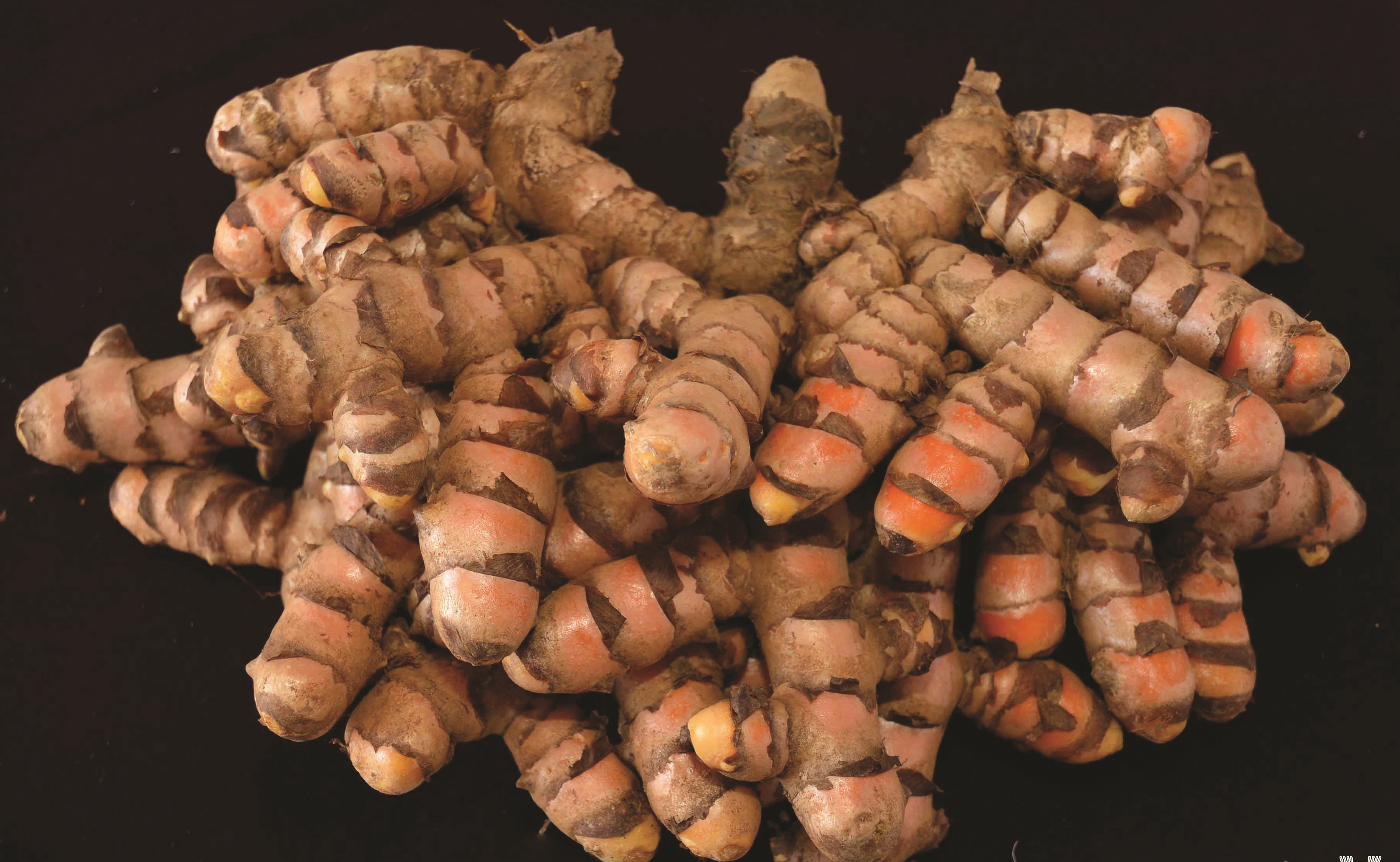 Turmeric