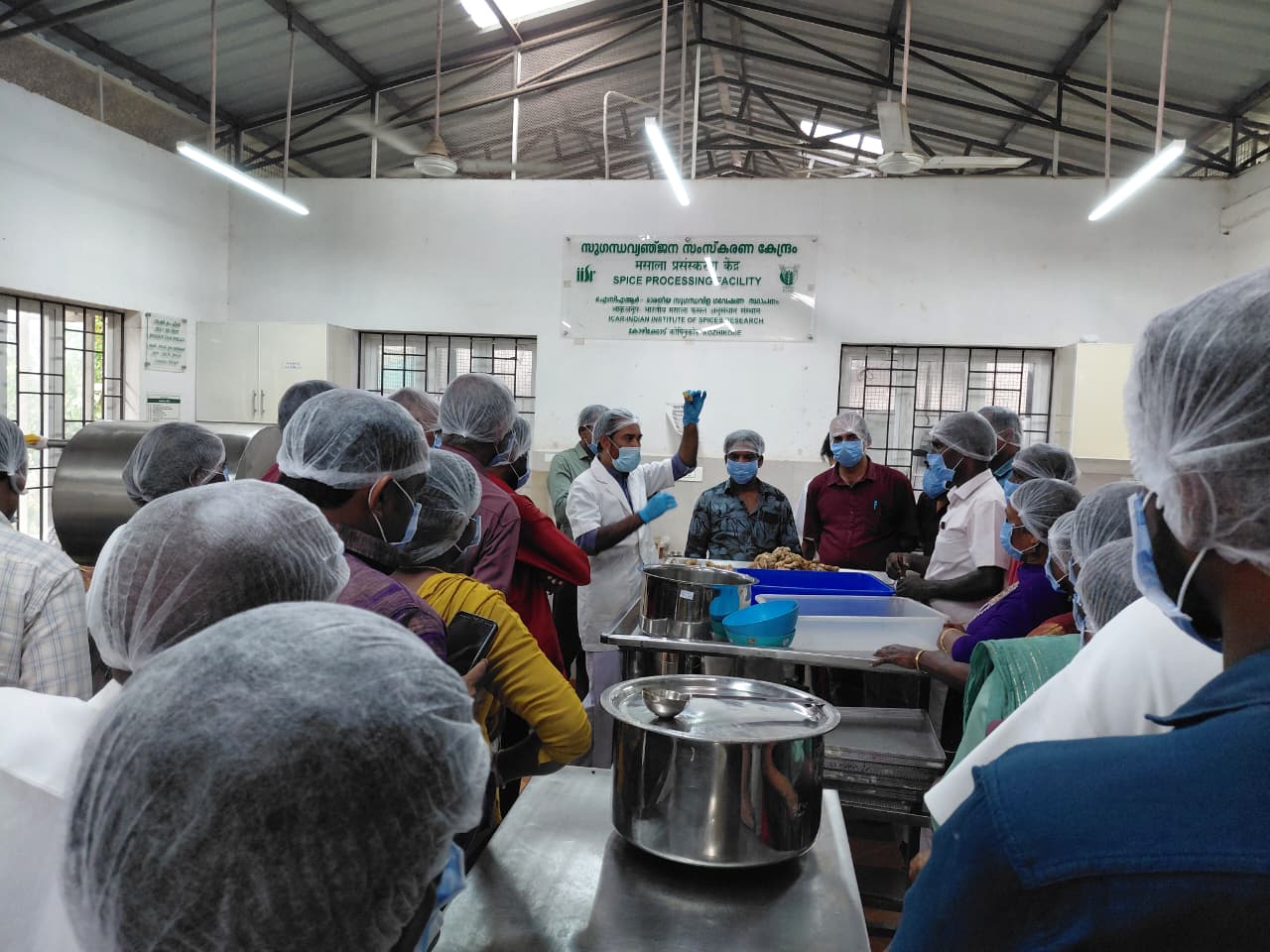 Hands-on – Ginger Products